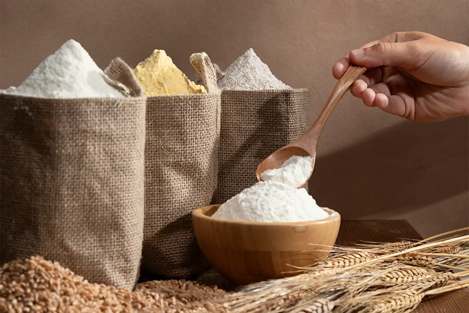 Shop the best domestic flour mill in town- SONAR DOMESTIC FLOUR MILLS